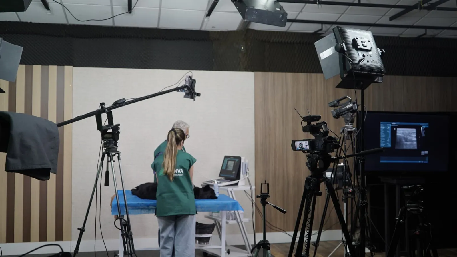 Estúdio de gravação do curso com 4 câmeras, animais reais e equipamento profissional